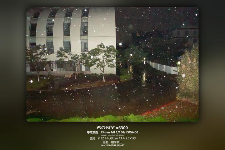 夜树斑驳