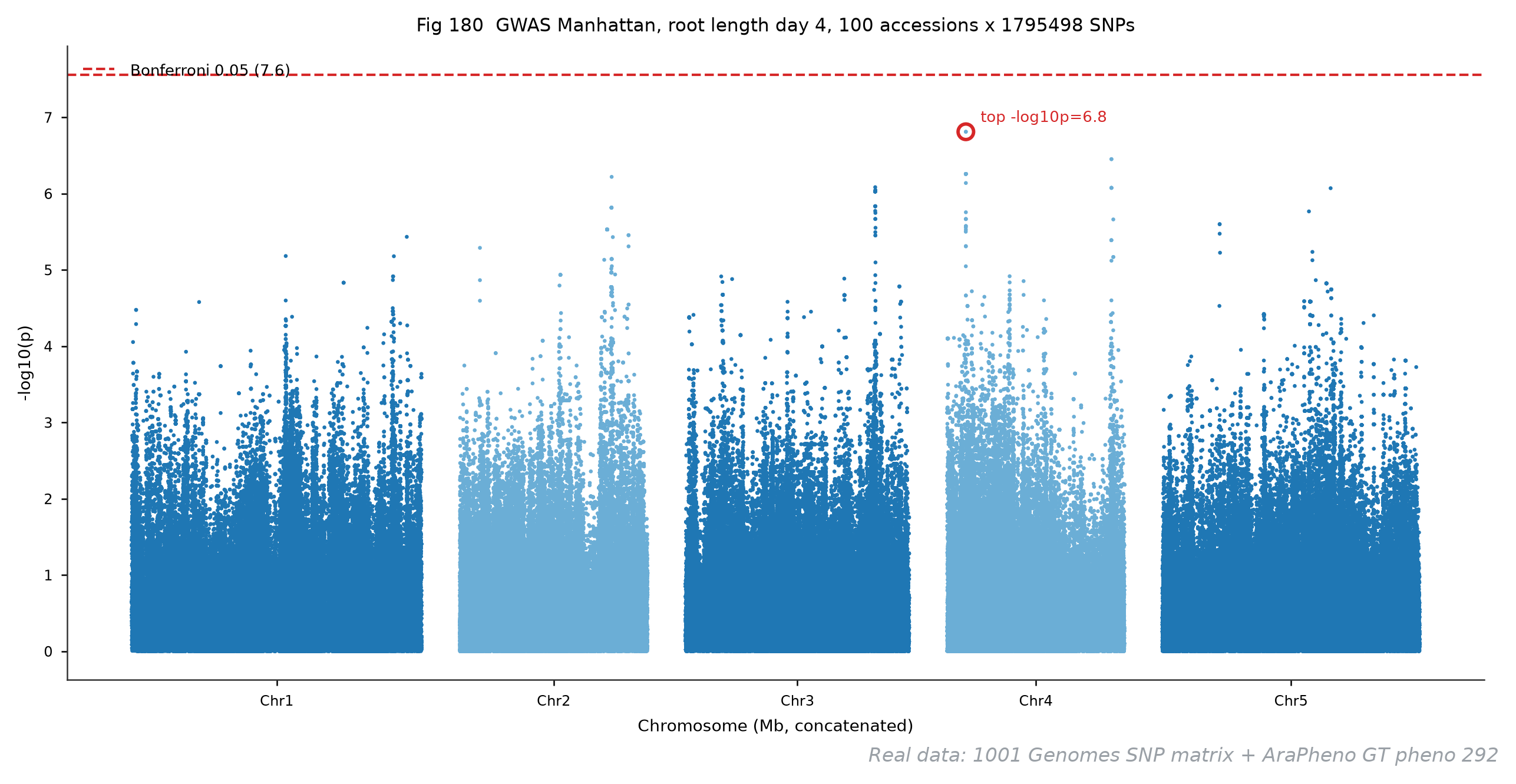 图 180 根长 GWAS Manhattan 图